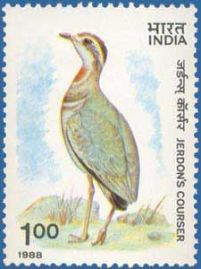 Kalivi Kodi Stamp