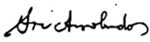 Sri-Arabindo-Signature
