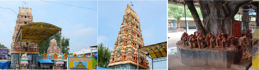 Sri Bhrmarambha Temple