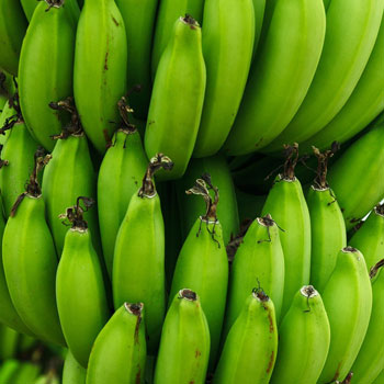 Green-Bananas
