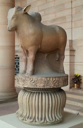 Rampurva-bull-in-Presidential-Palace
