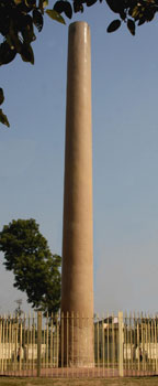 Ashoka-pillar-Lauriya-Araraj