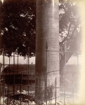 Close-view-Lauriya-Nandangarh-Ashoka-Pillar